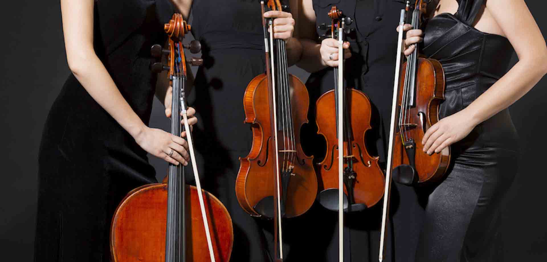 violin banner - Liverpool String Ensemble Events