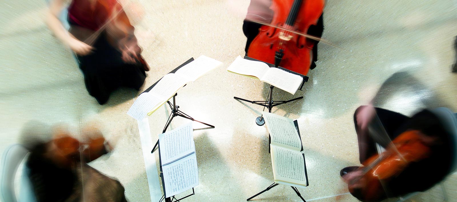 Image of string quartet - contact Liverpool string ensemble.